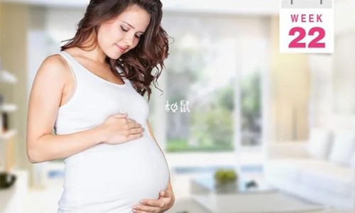 哺乳期间可以吃当归网 | 哺乳期间可以吃当归羊肉汤吗,哺乳期能吃当归